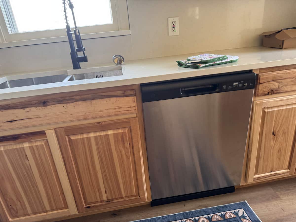Kitchen sink and stainless dishwasher